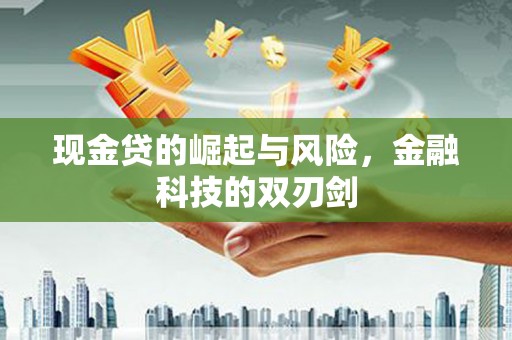 新野现金贷的崛起与风险，金融科技的双刃剑