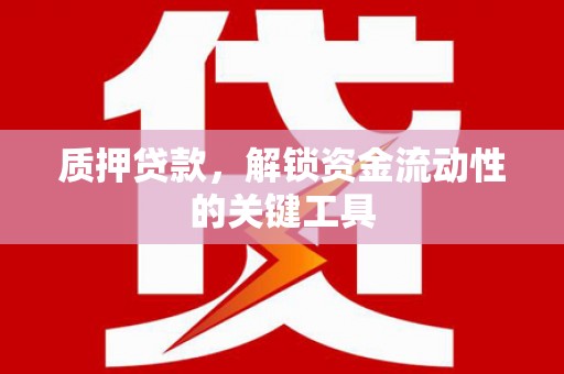 新野质押贷款，解锁资金流动性的关键工具