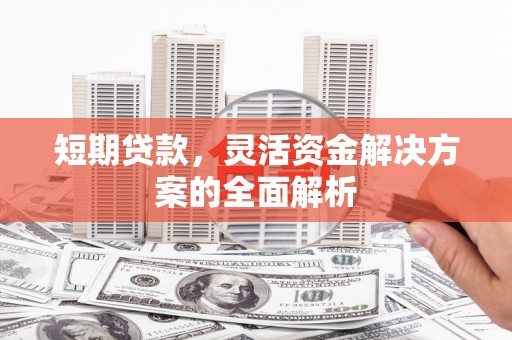 新野短期贷款，灵活资金解决方案的全面解析