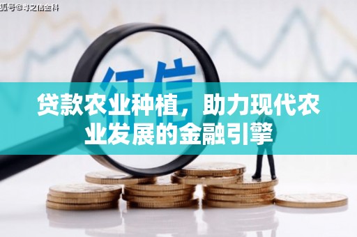新野贷款农业种植，助力现代农业发展的金融引擎
