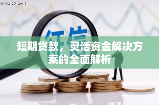 新野短期贷款，灵活资金解决方案的全面解析