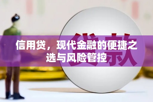 新野信用贷，现代金融的便捷之选与风险管控