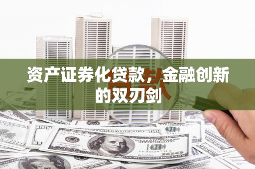 新野资产证券化贷款，金融创新的双刃剑