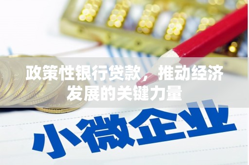 新野政策性银行贷款，推动经济发展的关键力量