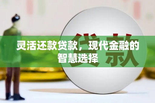 新野灵活还款贷款，现代金融的智慧选择