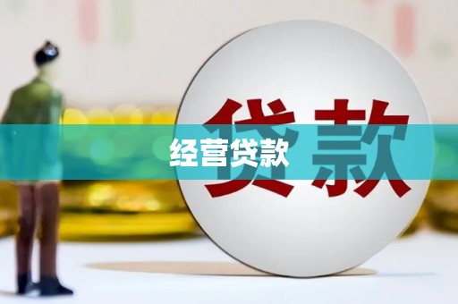 新野经营贷款