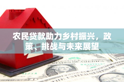 新野农民贷款助力乡村振兴，政策、挑战与未来展望