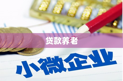 新野贷款养老