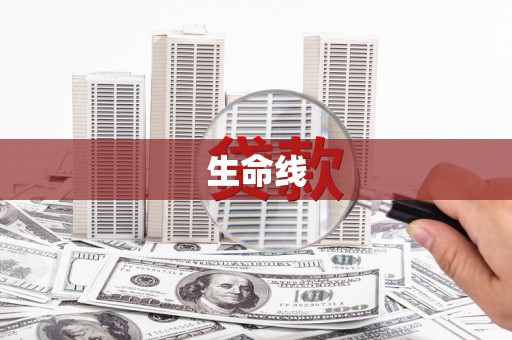 新野生命线