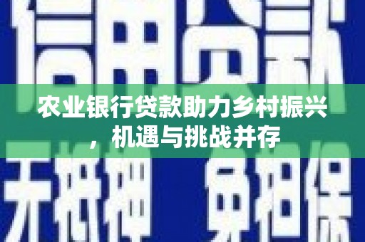 新野农业银行贷款助力乡村振兴，机遇与挑战并存