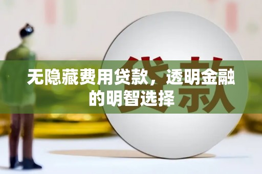 新野无隐藏费用贷款，透明金融的明智选择