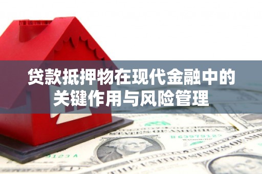 新野贷款抵押物在现代金融中的关键作用与风险管理