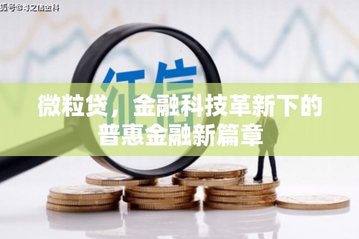 新野微粒贷，金融科技革新下的普惠金融新篇章