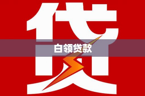 新野白领贷款