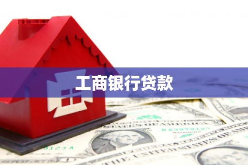新野工商银行贷款