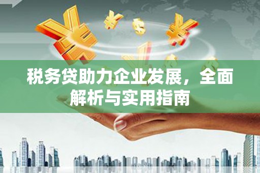 新野税务贷助力企业发展，全面解析与实用指南