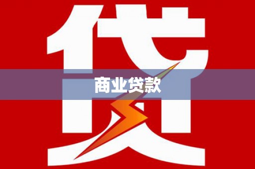 新野商业贷款