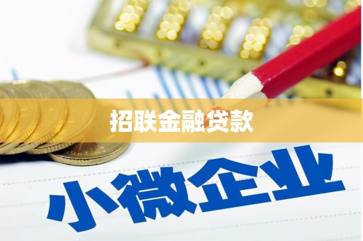新野招联金融贷款