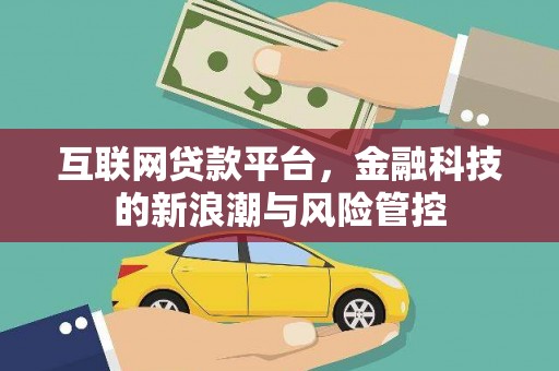 新野互联网贷款平台，金融科技的新浪潮与风险管控