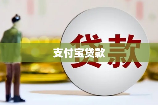 新野支付宝贷款