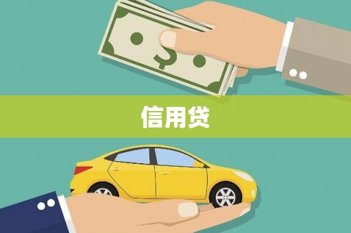 新野信用贷