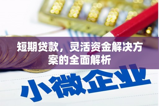 新野短期贷款，灵活资金解决方案的全面解析