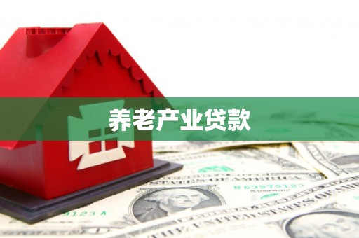 新野养老产业贷款