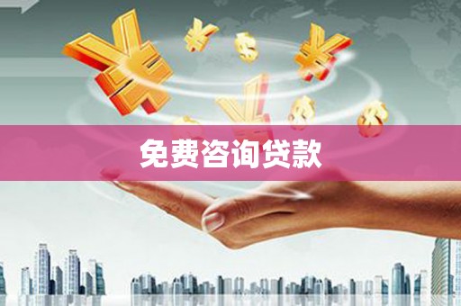 新野免费咨询贷款