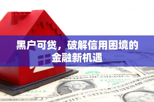 新野黑户可贷，破解信用困境的金融新机遇