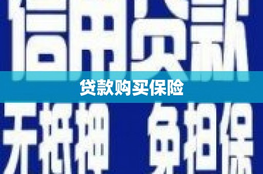 新野贷款购买保险