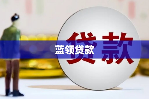 新野蓝领贷款