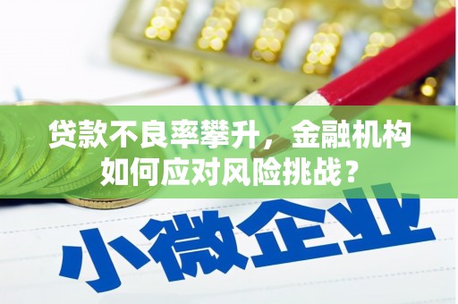 新野贷款不良率攀升，金融机构如何应对风险挑战？