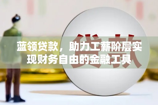 新野蓝领贷款，助力工薪阶层实现财务自由的金融工具