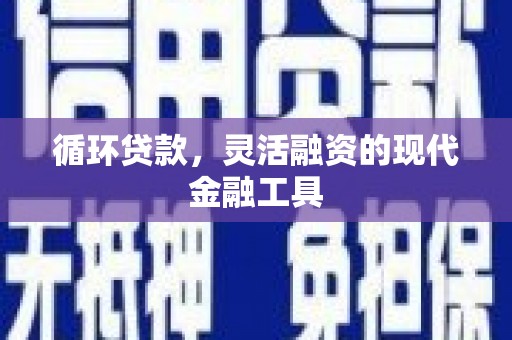 新野循环贷款，灵活融资的现代金融工具