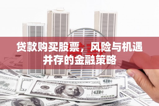 新野贷款购买股票，风险与机遇并存的金融策略