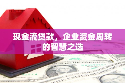 新野现金流贷款，企业资金周转的智慧之选