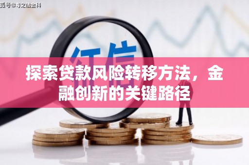 新野探索贷款风险转移方法，金融创新的关键路径
