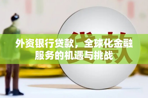 新野外资银行贷款，全球化金融服务的机遇与挑战