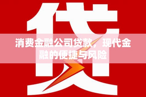 新野消费金融公司贷款，现代金融的便捷与风险