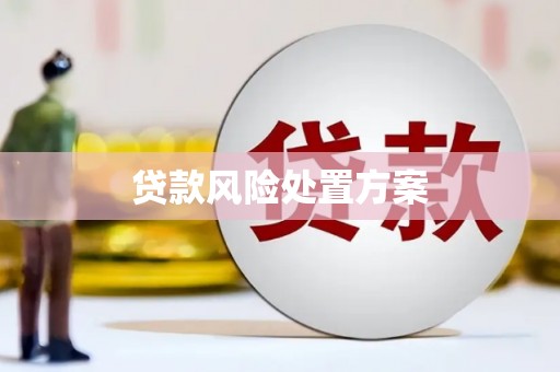 新野贷款风险处置方案