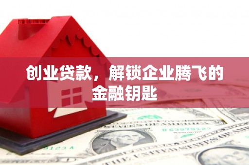 新野创业贷款，解锁企业腾飞的金融钥匙