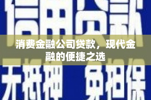 新野消费金融公司贷款，现代金融的便捷之选