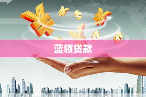 新野蓝领贷款