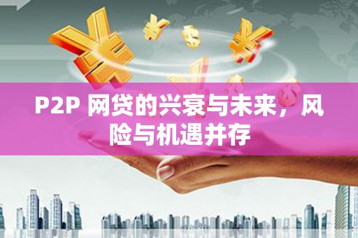 新野P2P 网贷的兴衰与未来，风险与机遇并存