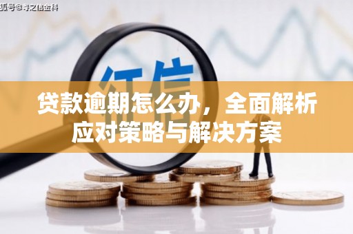 新野贷款逾期怎么办，全面解析应对策略与解决方案