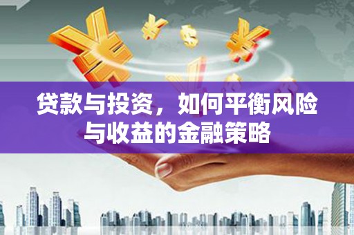新野贷款与投资，如何平衡风险与收益的金融策略