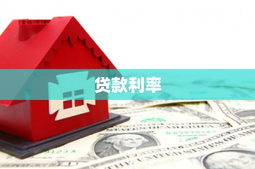 新野贷款利率