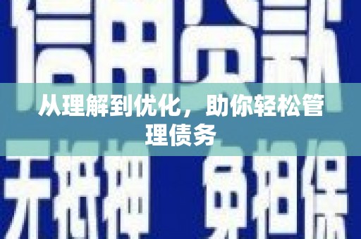 新野从理解到优化，助你轻松管理债务