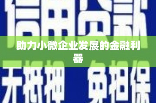 新野助力小微企业发展的金融利器