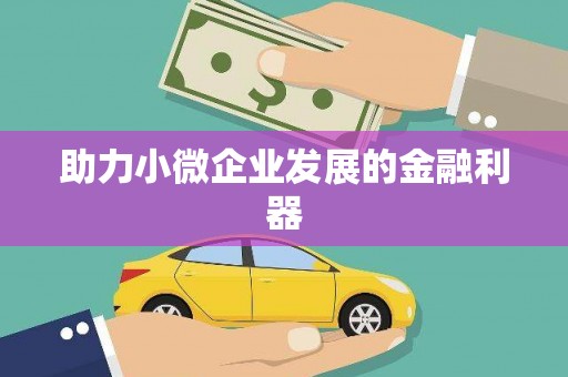 新野助力小微企业发展的金融利器